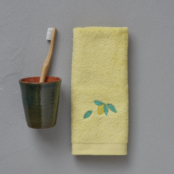 Towel invitée Sorbet 30/50