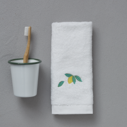 Towel invitée Sorbet 30/50