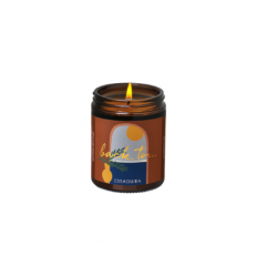 Vegetable candle Back to...