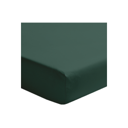 Drap housse Premiere forêt