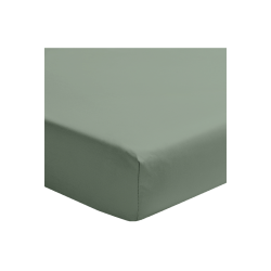 Drap housse Premiere sauge