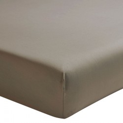 Drap housse Premiere taupe